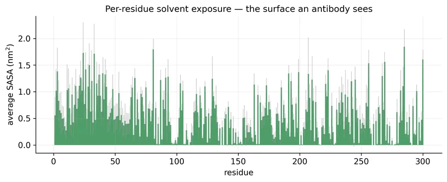 Bar chart of average solvent-accessible surface for each of the 300 residues